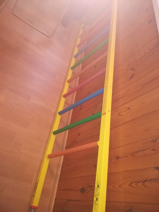 Шведська спортивна стінка укомплектована Лада Ladas турник + мат