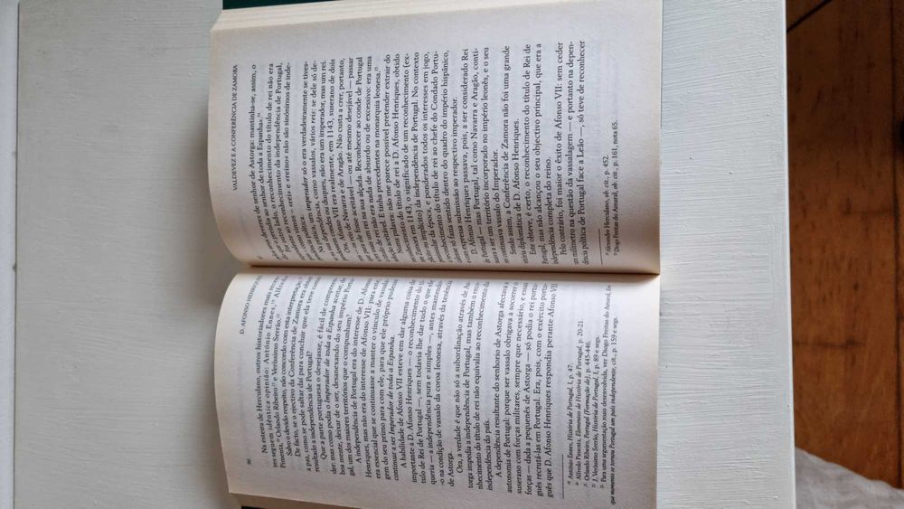 Diogo Freitas do Amaral - D. Afonso Henriques. Biografia