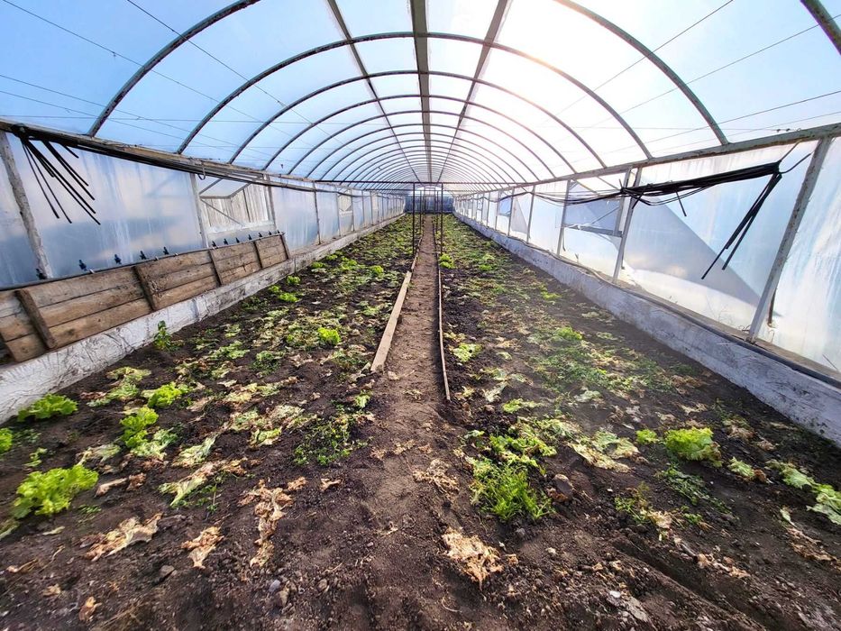 (8) Продається будинок з ділянкою в с. Гавришівка 9890