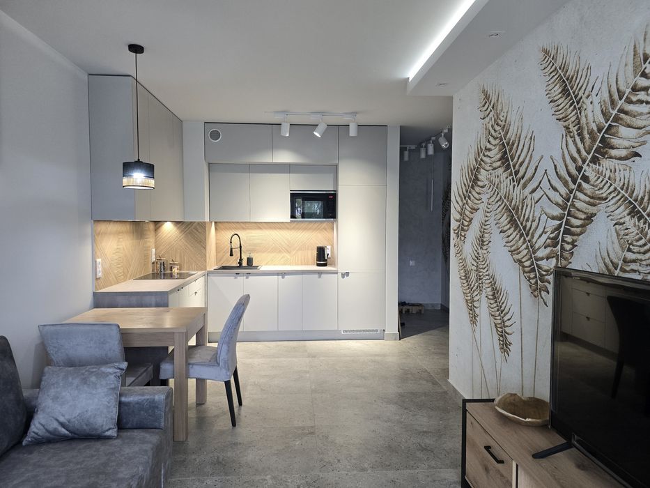 Apartament 45 m 2 wynajmę