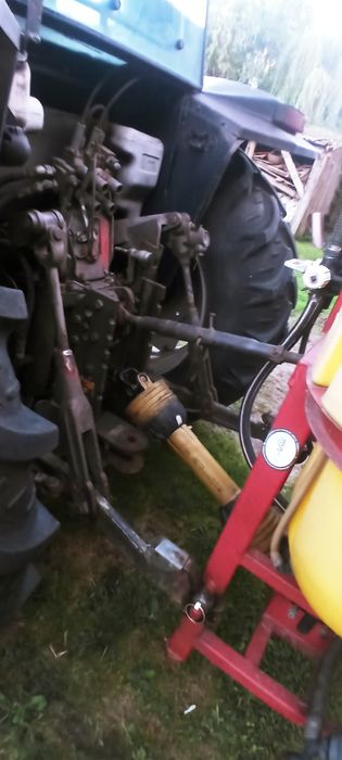 Sprzedam prosie MF
