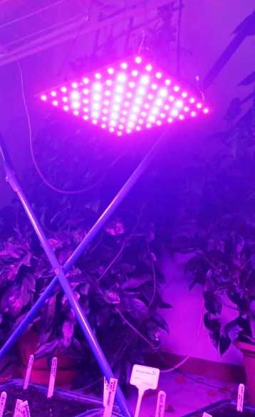 ЯСКРАВА Фітолампа Повного Спектру. Мікрозелень Зелень Квіти Гроубокс