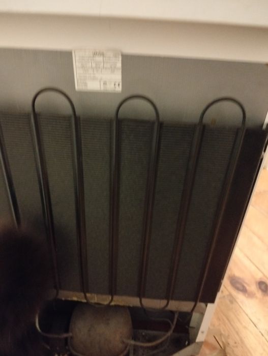 Frigorífico com mini congelador