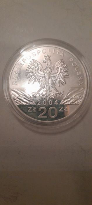 20zl Morswin z  2004roku  Moneta Srebna