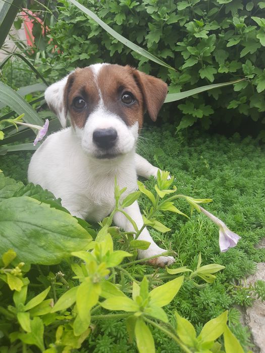 Очень красивый малыш