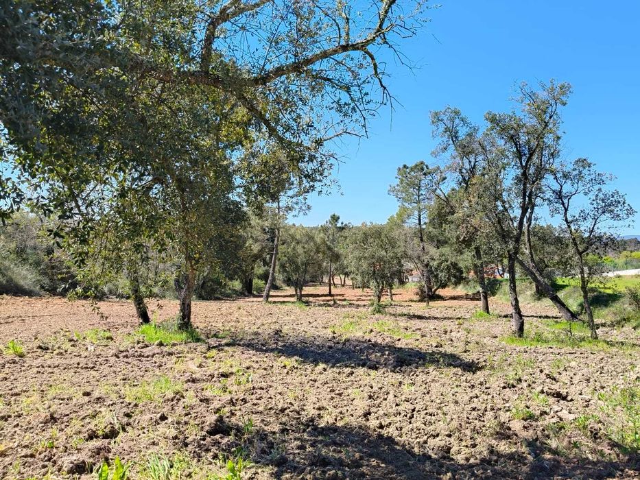 Terreno Urbano/Rústico para venda