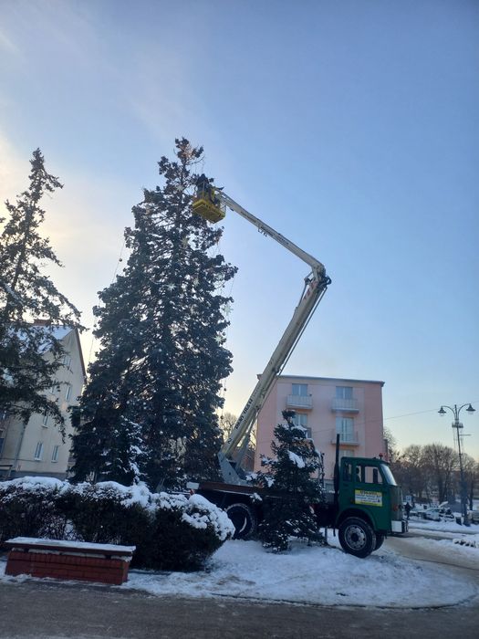 Usługi Podnośnikiem koszowym