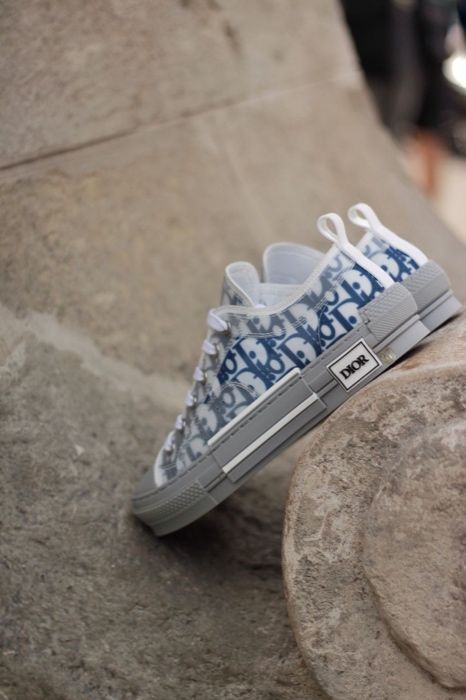 Dior Low Grey/Blue