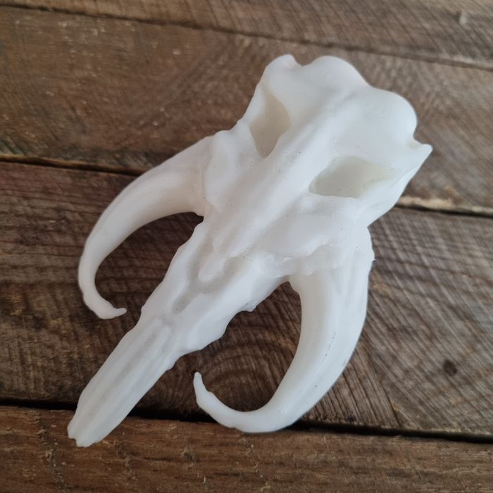 Druk 3D | Filament / Żywica | Projektowanie • Malowanie • Małe nakłady