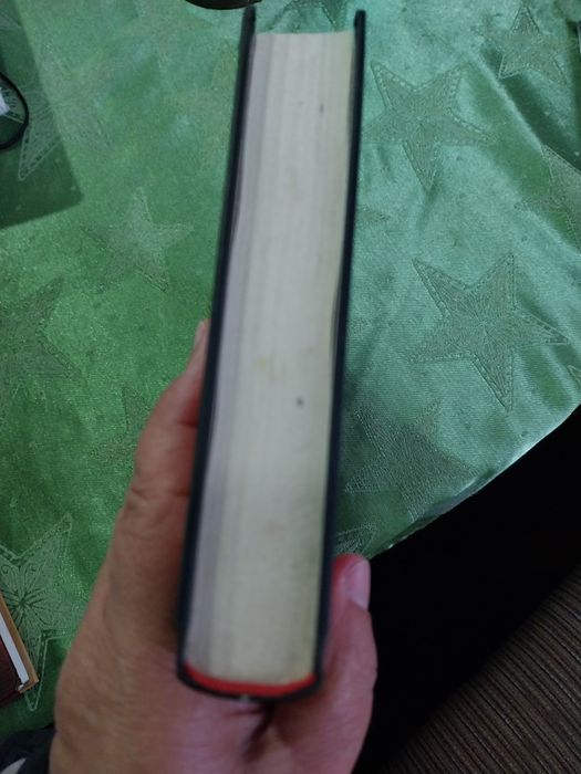 Rapariga Silenciosa. Portes incluídos