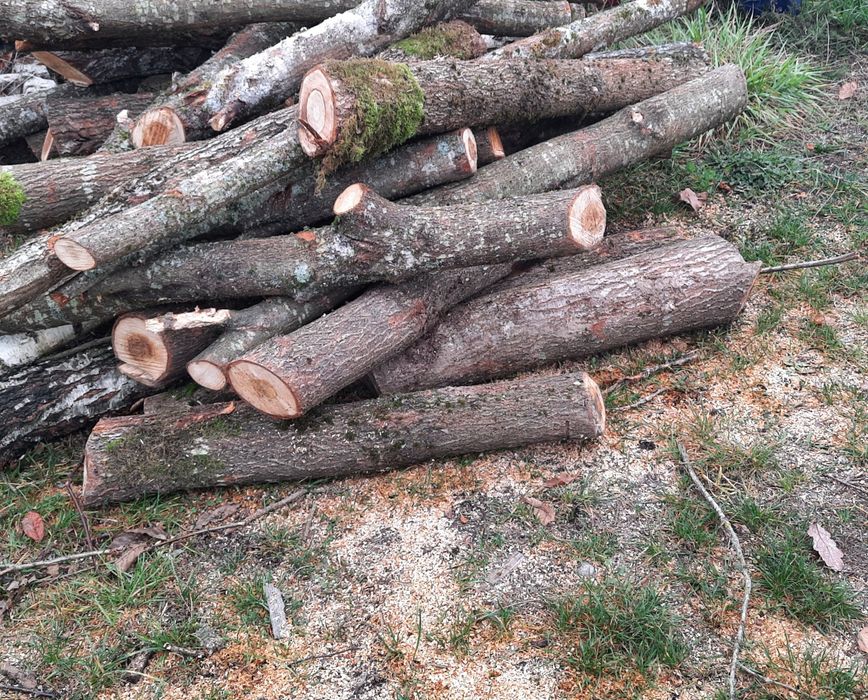 Drewno opałowe/kominkowe