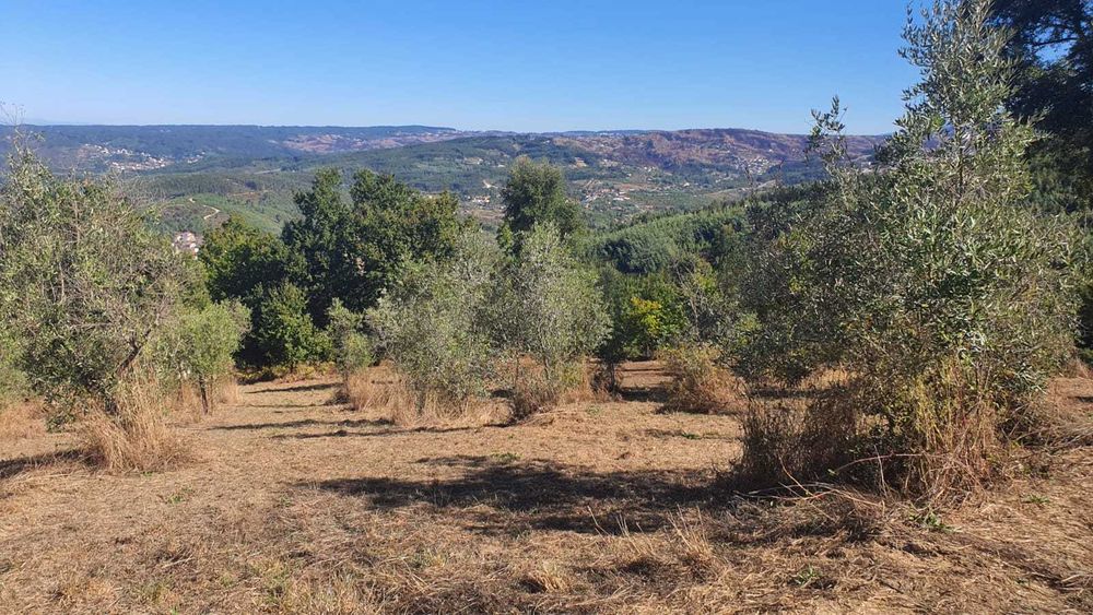 Terreno 1,2 ha com viabilidade de construção – Esculca