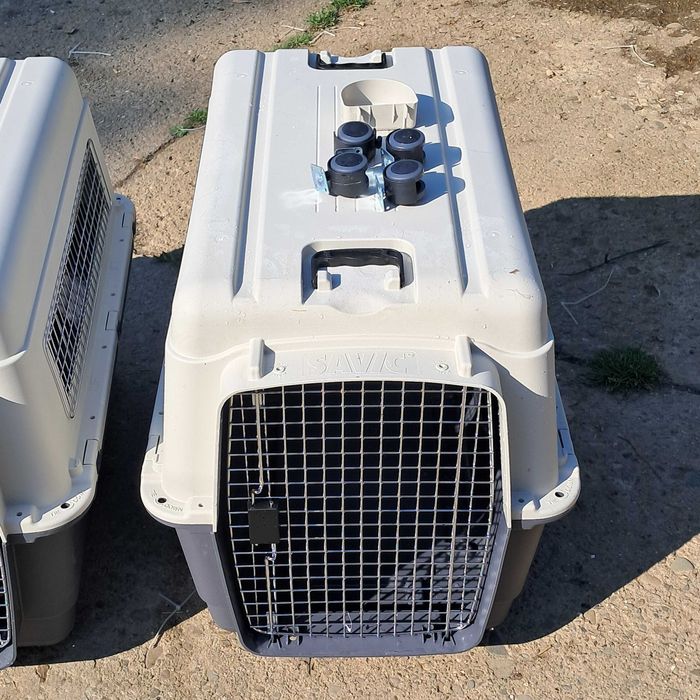 Nowe Transportery Savic rozm 7