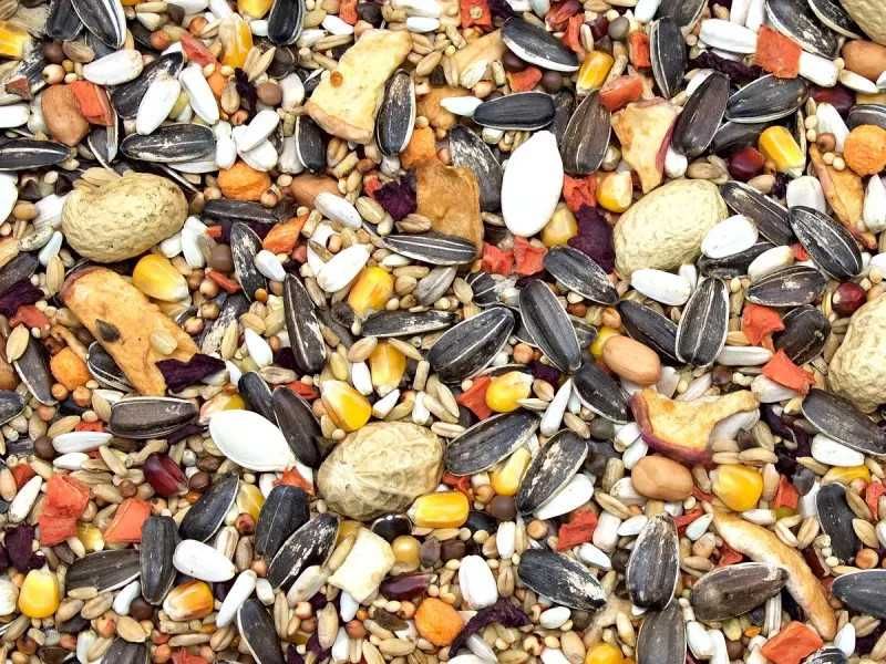 Karma dla papug Dużych Premium 20kg Kampol PADP