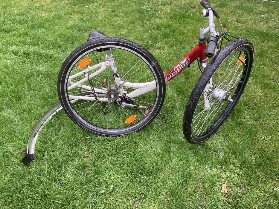 Rower miejski Pegasus