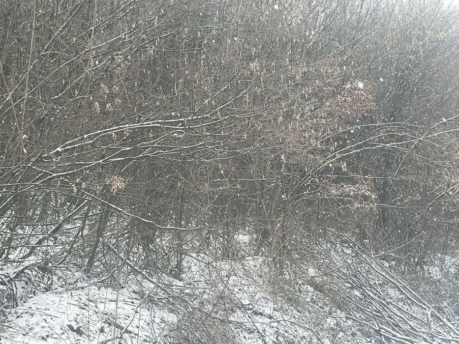 Продаж земельноі ділянки 7 сотин в Перечині