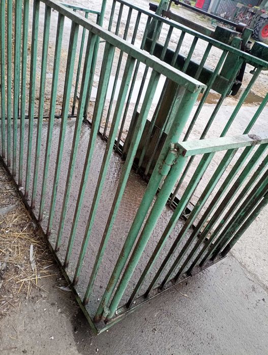 Waga do Żywca do 1500 kg