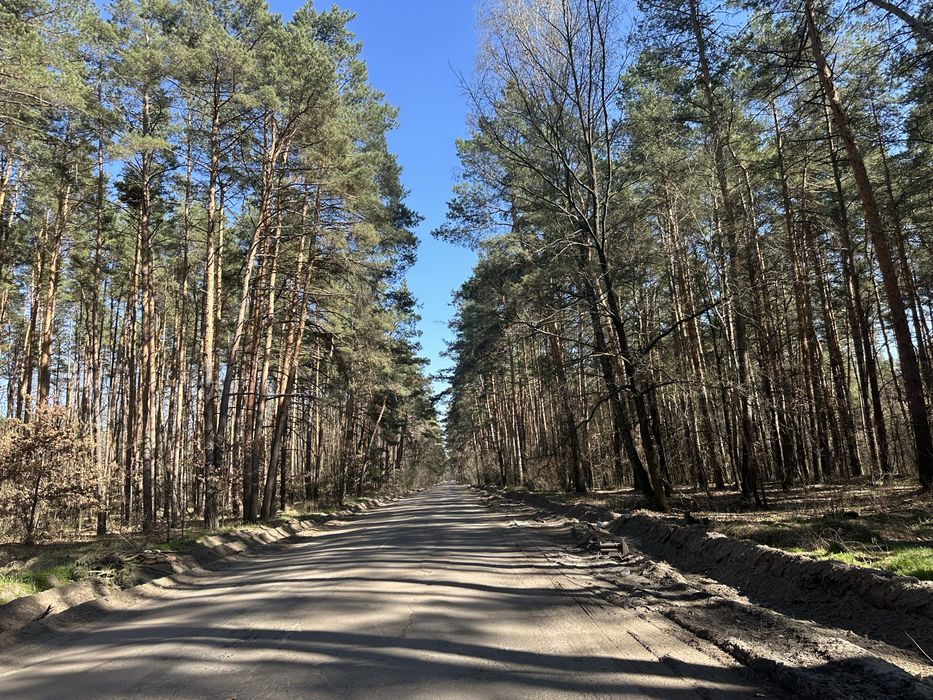 Продаю квартиру Коржі Київська обсласть  площа 61м2, 3-кімнатна квартира 4й поверх індивідуальне газове опалення Житловий стан 29000$