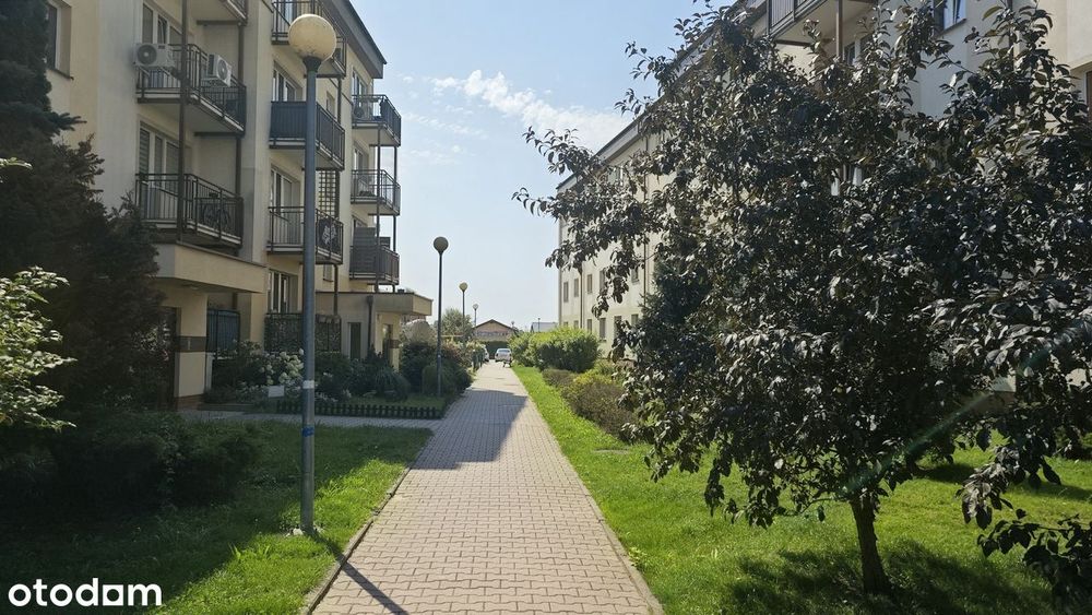 Zdjęcie 3
