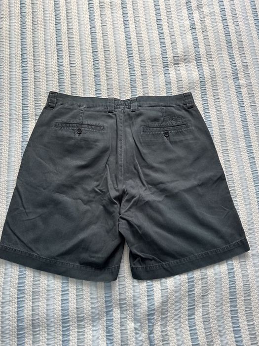 Cações Lion of Porches