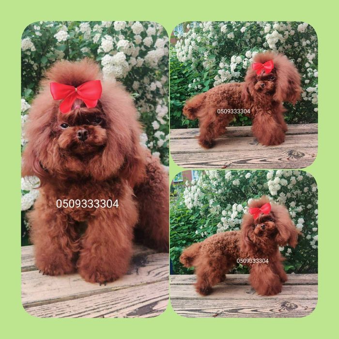 ‼️Супер‼️импорт Китай ‼️