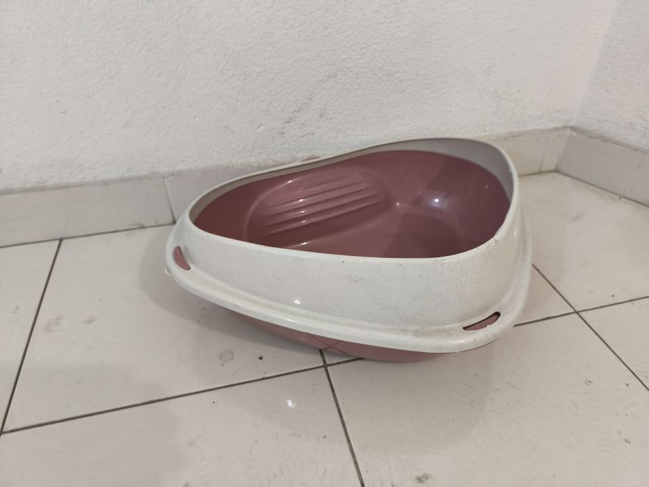 Casa de banho gatinhos