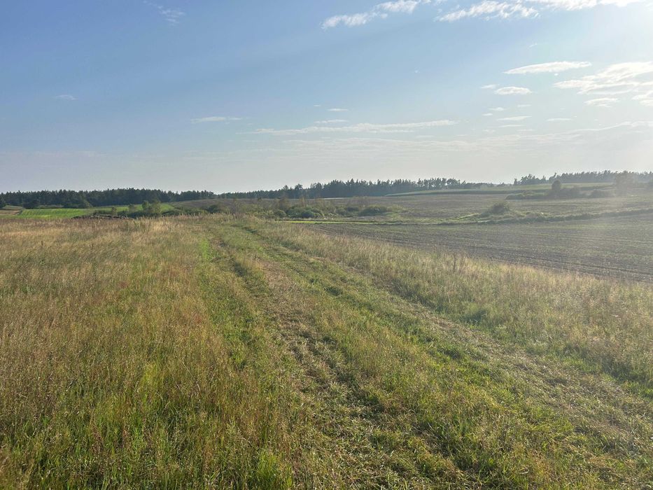 Promocja! Tania działka Lębork 3000 m² | Ostatnie takie działki | Spokój za miastem | Przestrzeń dla rodziny | 3000 m² | Siemirowice - Widok 5
