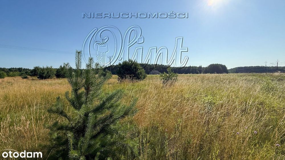 Teren gotowy na inwestycję - Widok 2