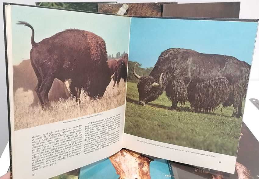 Enciclopédia do Reino Animal (8 volumes + caixa). 1967