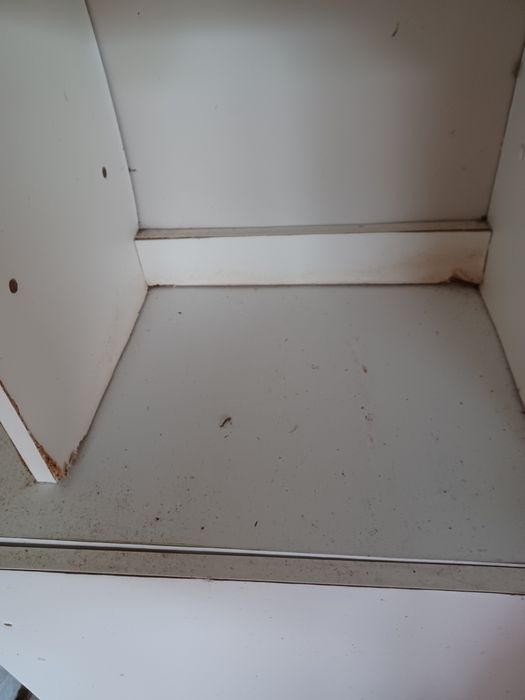 Dou móveis para arrumação