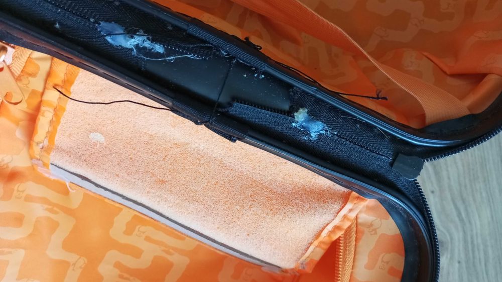 Walizka pingwiny z Madagaskaru