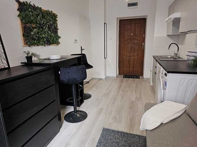 Katowicka 2, Podgórze, przyjazne zwierzętom studio, BRAK PROWIZJI