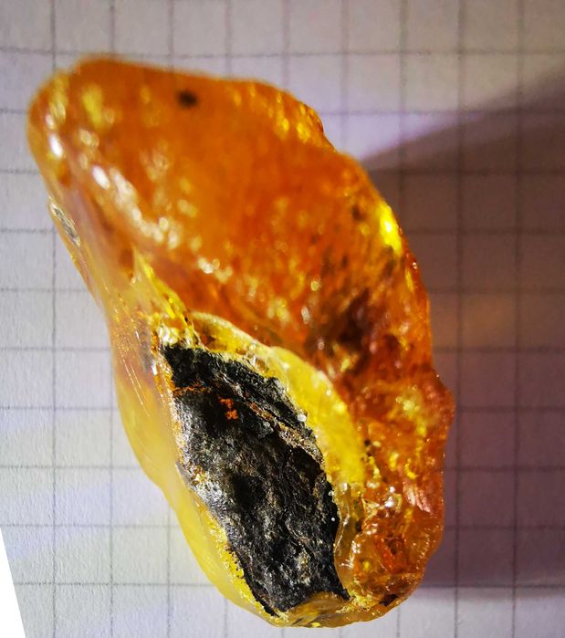 bursztyn bałtycki surowy kolekcjonerski  6,77 gr polski