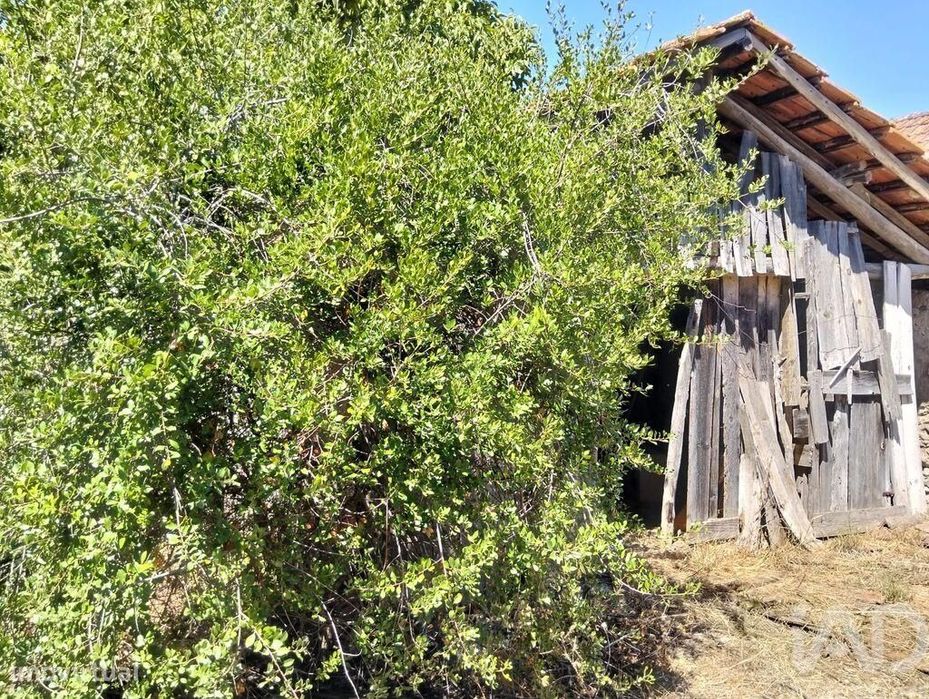 Casa de Campo em Brogueira, Parceiros de Igreja e Alcorochel