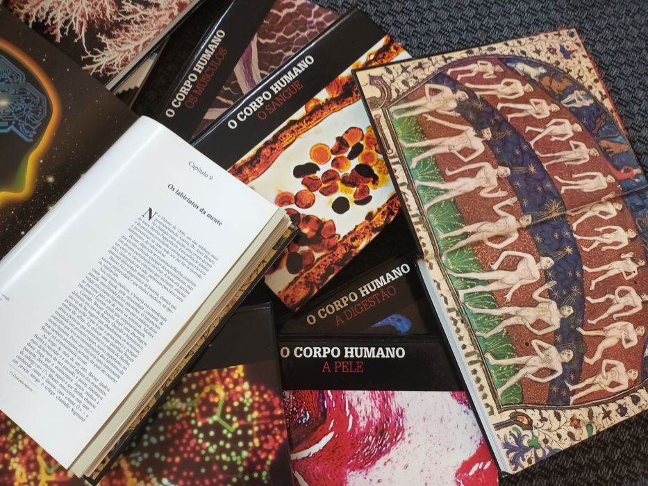 Coleção livros O Corpo Humano