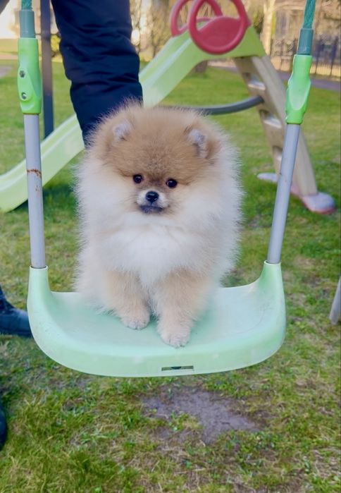 Чарівна дівчинка