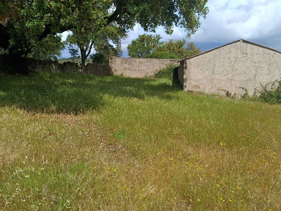 Terreno Ideal para Refúgio de Campo, 7 hectares , Nisa