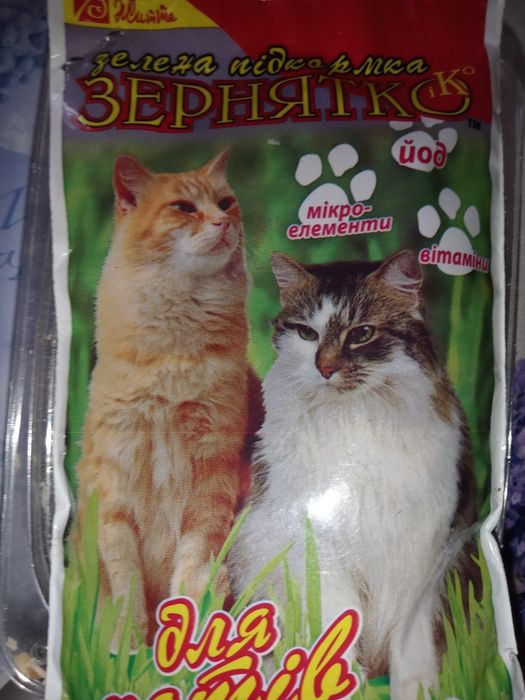 Зелена підкормка Зернятко для котиків ,морських свінок