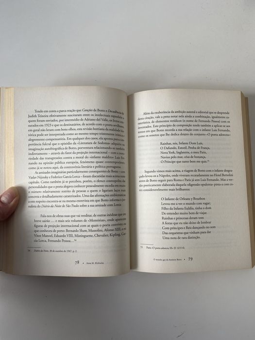 Livro O Mundo Gay de António Botto. Anna M. Klobucka