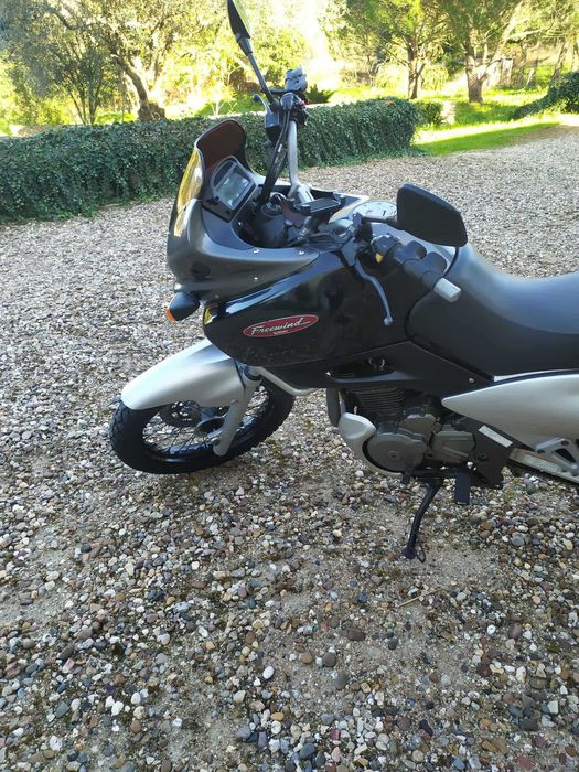 Suzuki XF 650 Freewind