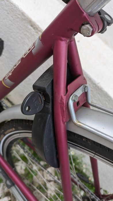 Bicicleta holandesa Sparta Apolo