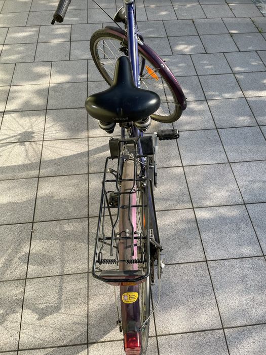 Rower Calypso Hercules