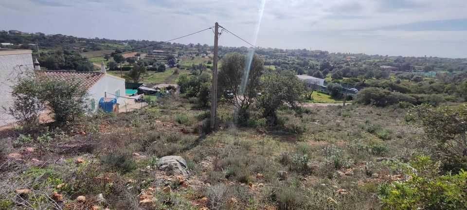 Terreno Rustico 1920m com Luz e Internet Pechão