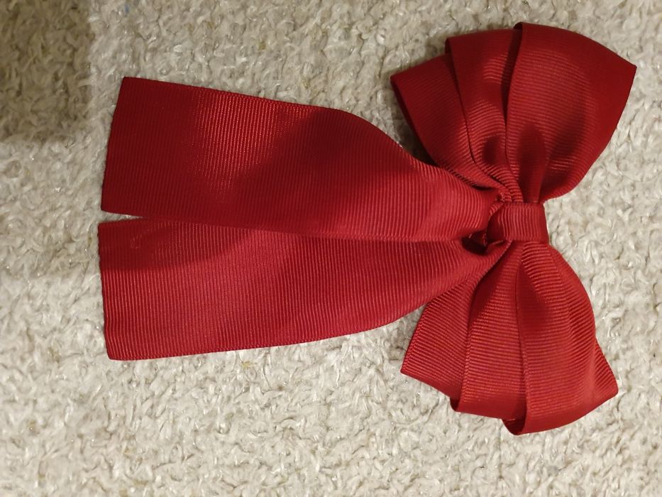 Ganchos de cabelo (vários)