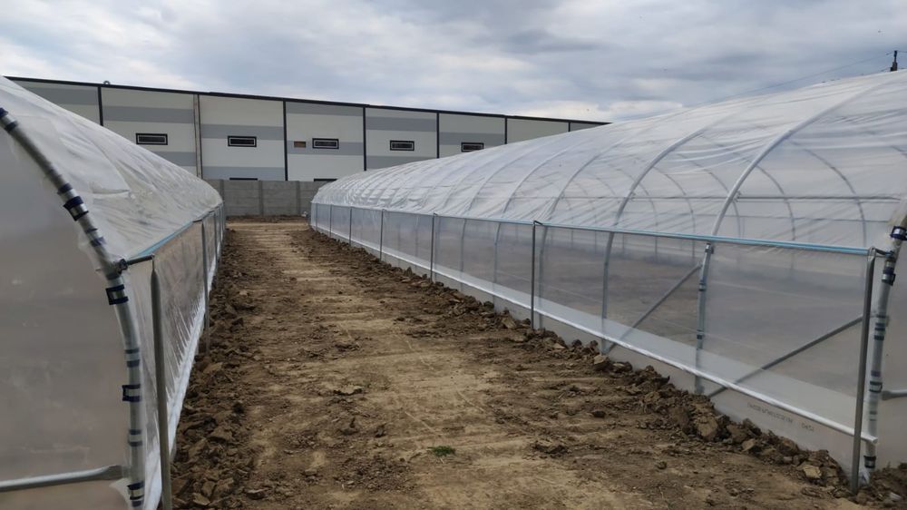 Tunel foliowy truskawka malina papryka