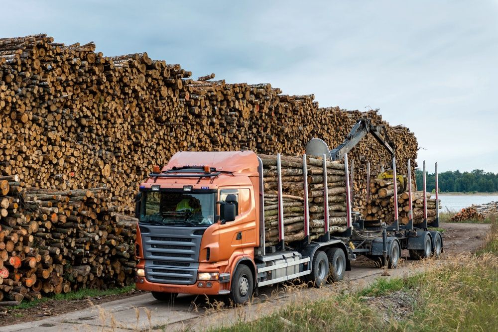 Дрова дубові колоті по області дрова клен дрова соснові дрова акація