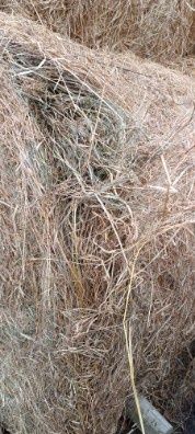 Siano baloty 120x120