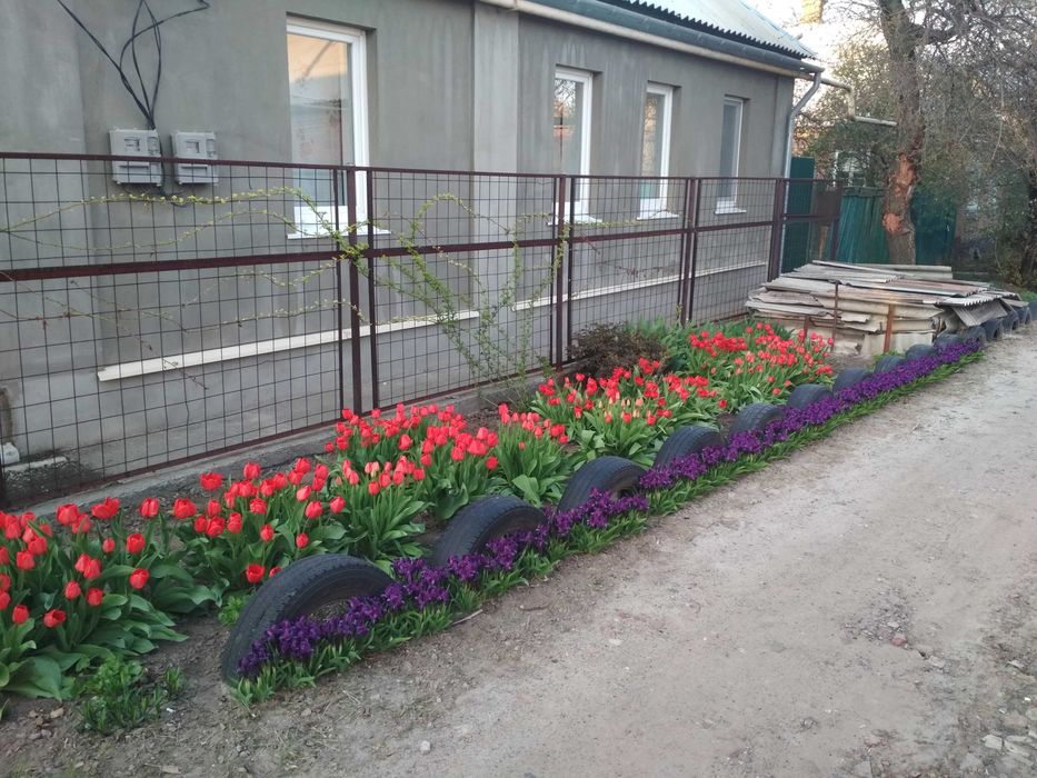 Продам будинок на дві половини.