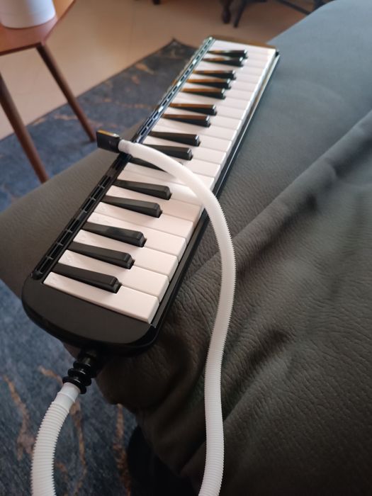 Instrumento musical melódica