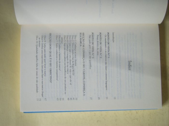 O Livro Azul da Publicidade de Steve Lance e Jeff Woll
